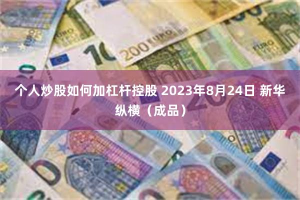 个人炒股如何加杠杆控股 2023年8月24日 新华纵横（成品）