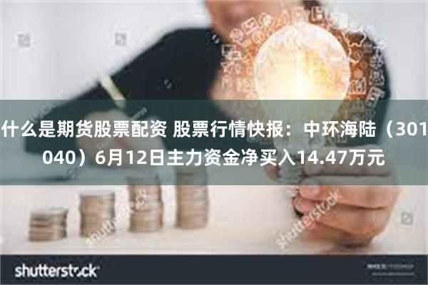 什么是期货股票配资 股票行情快报：中环海陆（301040）6月12日主力资金净买入14.47万元