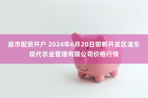 股市配资开户 2024年6月20日邯郸开发区滏东现代农业管理有限公司价格行情