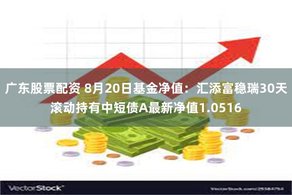 广东股票配资 8月20日基金净值：汇添富稳瑞30天滚动持有中短债A最新净值1.0516