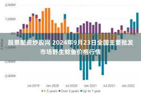 股票配资炒股网 2024年9月23日全国主要批发市场野生鲶鱼价格行情