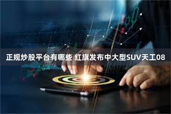 正规炒股平台有哪些 红旗发布中大型SUV天工08