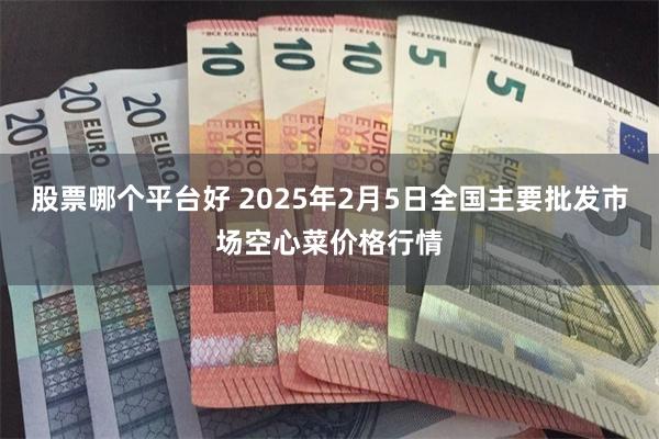 股票哪个平台好 2025年2月5日全国主要批发市场空心菜价格行情