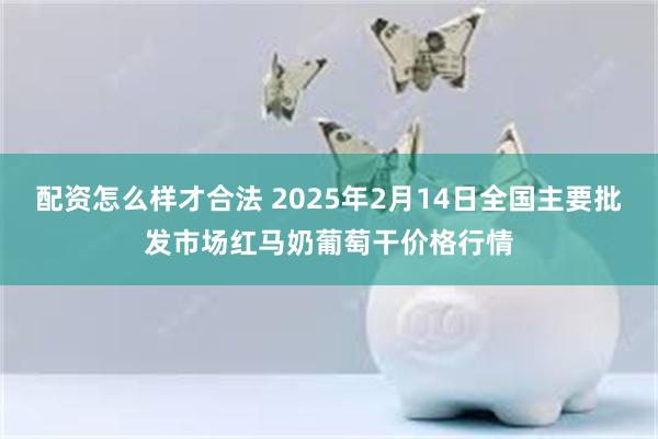 配资怎么样才合法 2025年2月14日全国主要批发市场红马奶葡萄干价格行情