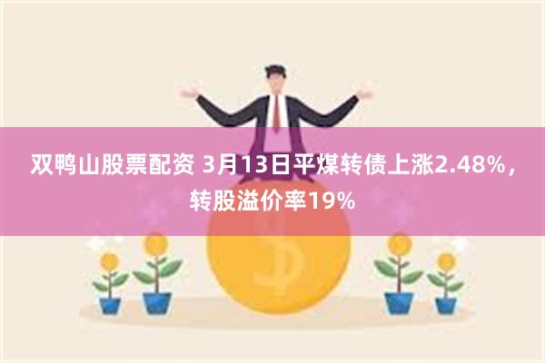 双鸭山股票配资 3月13日平煤转债上涨2.48%，转股溢价率19%